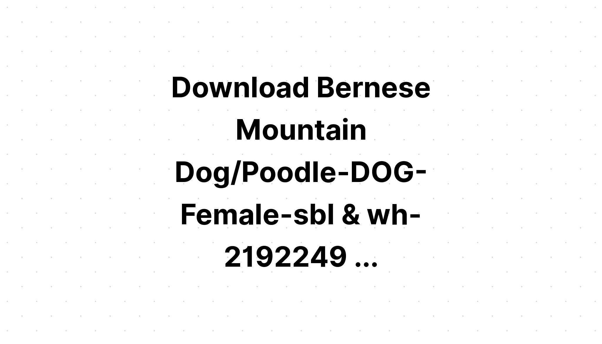 Download Bernese Mountain Dog Mandala SVG File